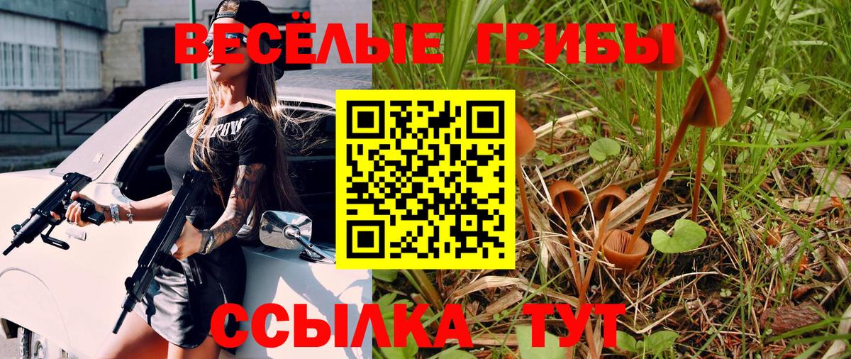 Брянск  Псилоцибиновые грибы мицелий  Вход с VPN 